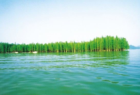 青山湖2