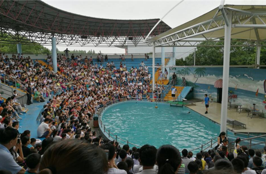 上海野生动物园6