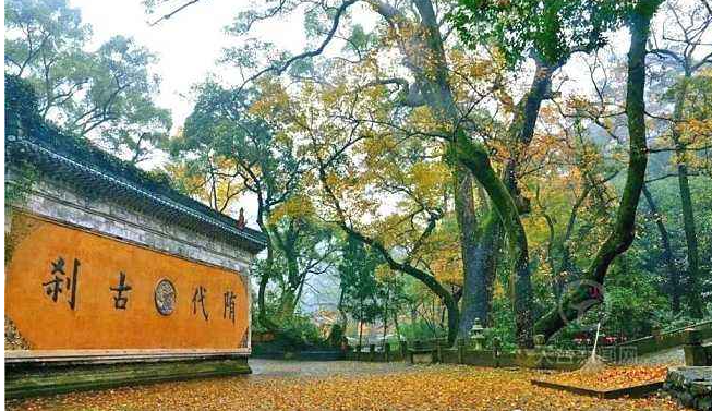 国清寺秋天