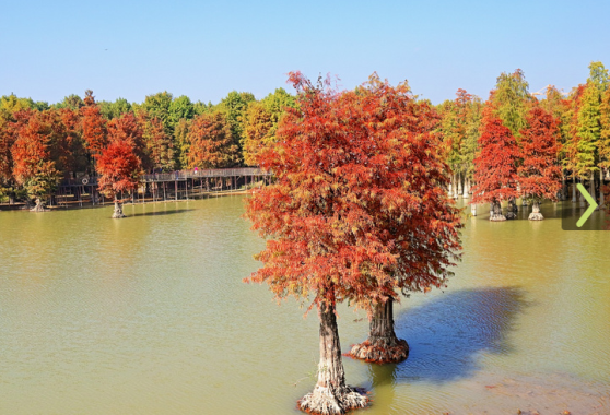 青山湖的秋天4