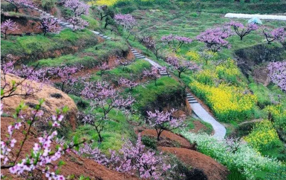 桐庐阳山畈3