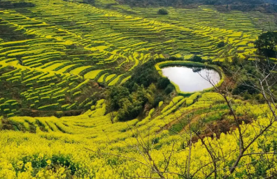 篁岭1