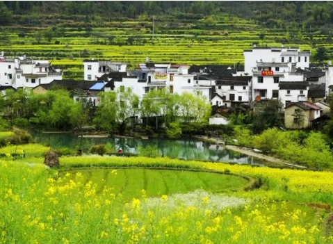 篁岭3