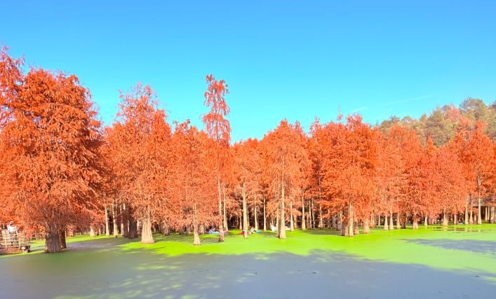 秋天的青山湖9