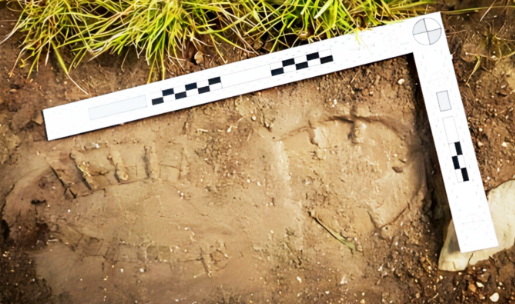 上海公安博物馆4