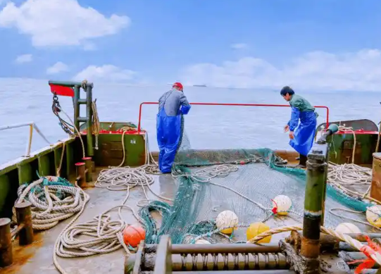 宁海横山岛出海捕鱼1