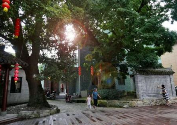 河洪长寿村