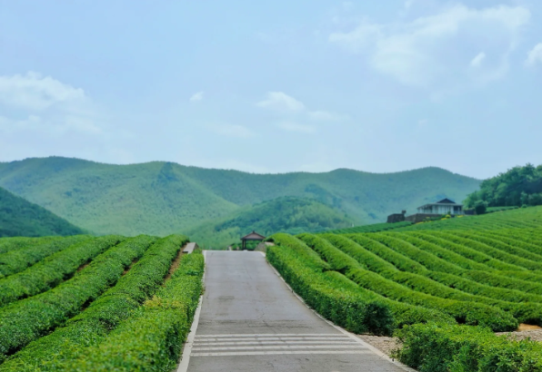 龙池山