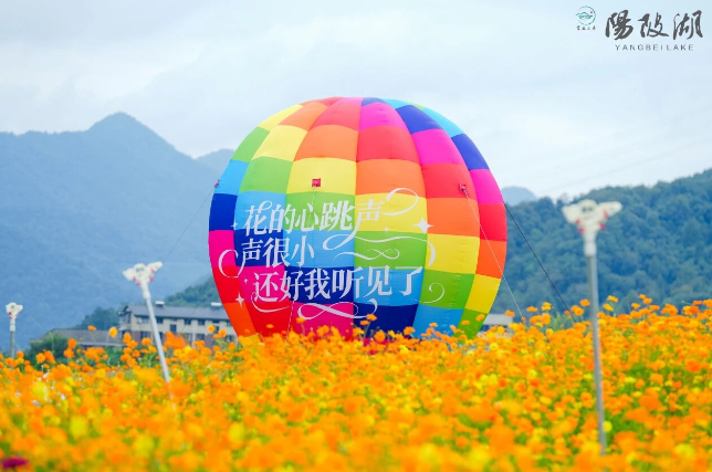 阳陂湖湿地公园4